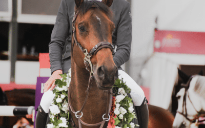 Julien Epaillard gagne le Grand Prix 4* de la Ville de Bourg-en-Bresse en 2023 !