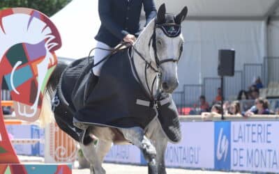 Début des Grands Prix au Jumping international de Bourg-en-Bresse – Ain