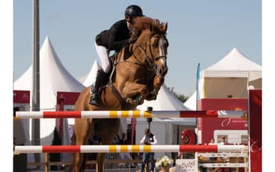 Consultez la gazette du Jumping !