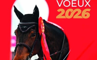 Bonne année 2026