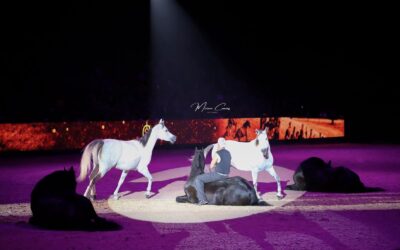 Les nocturnes au Jumping International de Bourg-en-Bresse Ain